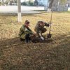 День древонасаждений